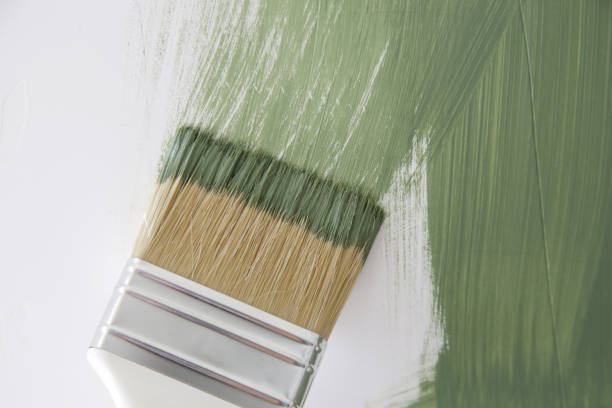 Eco-Friendly and Low-VOC Painting in Taylor, AL